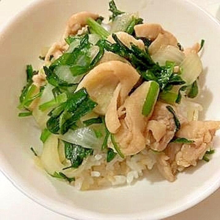 鶏もも・玉ねぎ・ニラの炒め物で 丼